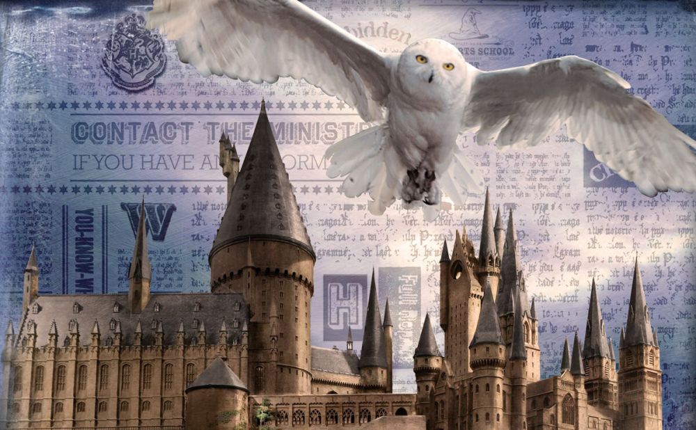 Harry Potter Hogwarts & Hedwig palapeli, 500 palaa