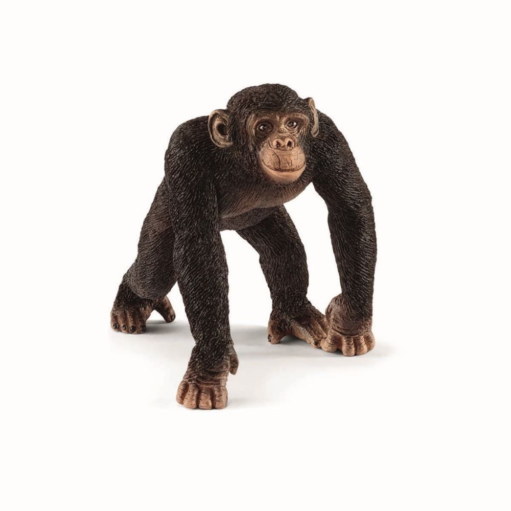 Schleich Simpanssi Uros Male Chimpanzee Lelut Eläimet Figuurit 6,5cm Lelukauppa Oulu Ideapark